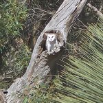 Photo taken by Dan J