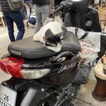 Photo taken by Jackie O