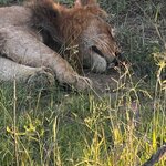 Photo taken by Crystall P