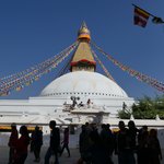 Photo taken by Brian U