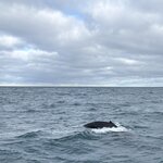 Photo taken by Lynn H