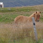 Photo taken by Andrew Z