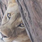 Photo taken by Kristin M