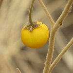 Photo taken by Kristin M