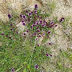 Photo taken by Kim R