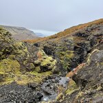 Photo taken by Carrie A