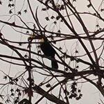 Photo taken by Darlene N