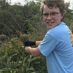 Careful picking artichokes! | Photo taken by Heidi C