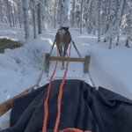 Photo taken by Raylene C