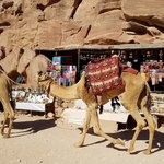 Photo taken by Beata p