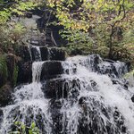 Photo taken by Kathryn S