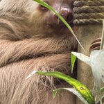 Photo taken by SANTHI S