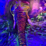 Photo taken by Nicole G