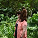 Photo taken by Joseph P