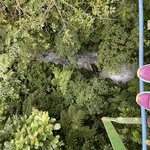 Photo taken by Hannah S