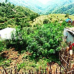 Photo taken by John David W