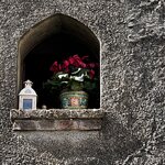 Photo taken by Martha D