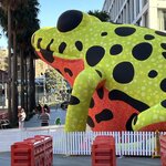 Photo taken by Amy W