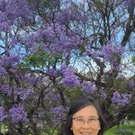 Photo taken by Bao T