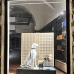 Photo taken by Anthony L