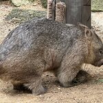 Photo taken by Jennifer H