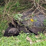 Photo taken by Jennifer A