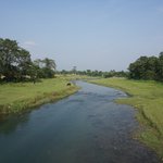 Photo taken by Emily K