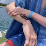 Photo taken by Alexia M