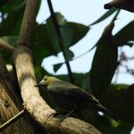 Photo taken by Brett F