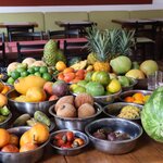 Photo taken by Miranda M