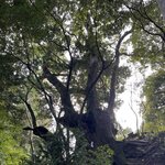 Photo taken by Daniel D