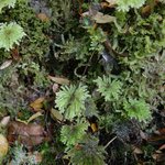 Photo taken by Beth S