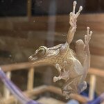 Photo taken by Nicole S