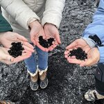 Photo taken by Debbie C