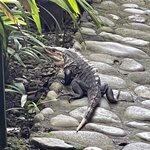 Photo taken by Hannah S