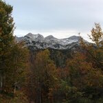 Photo taken by Chris M