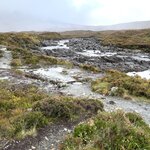 Photo taken by David L