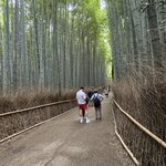 Photo taken by Nicoline v