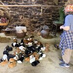 Photo taken by Alyssa R