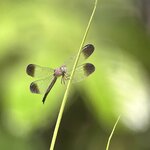 Photo taken by Cindy S