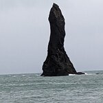 Photo taken by Alex T