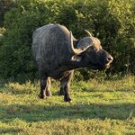 Photo taken by Martin D