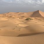 Photo taken by Della O