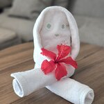 Photo taken by Alexandre M