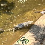 Photo taken by Randall D