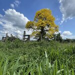 Photo taken by Jacqueline R