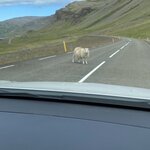 Photo taken by Christina L