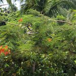 Photo taken by Kathy K