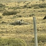 Photo taken by lynn o