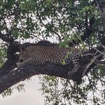 Photo taken by Yin Ling K